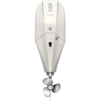 Mercury Marine 300 L  ProXS  DTS TM 1.75